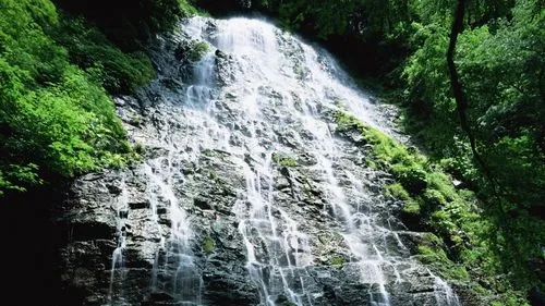 高效电子独特